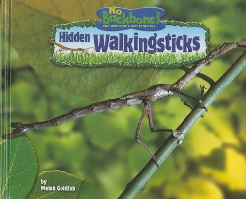 Hidden Walkingsticks