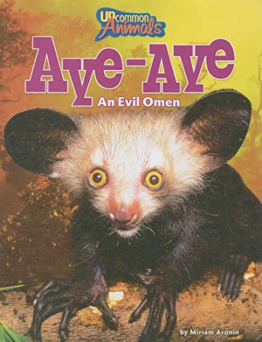 Aye-Aye