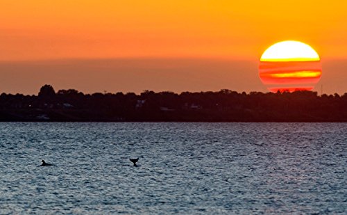 Our Indian River Lagoon
