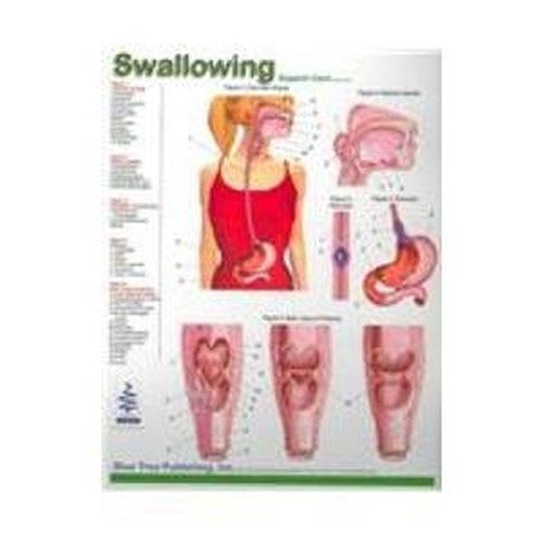 Swallowing