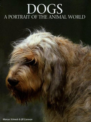 Dogs
