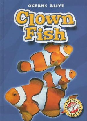 Clown Fish