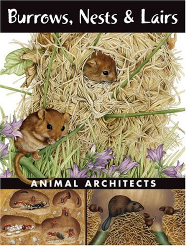 Burrows, Nests and Lairs