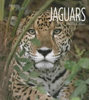 Jaguars