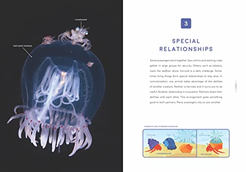 Seafloor Scavengers