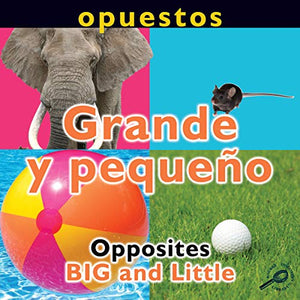 Opuestos: Grande Y Pequeno
