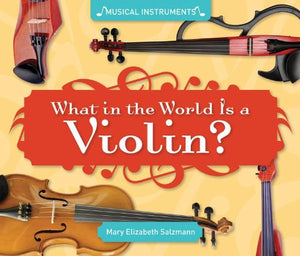 What in the World is a Violin?