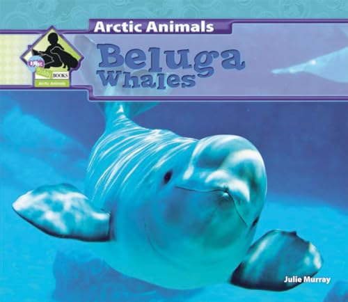 Beluga Whales cover