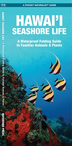 Hawai'i Seashore Life, 2nd Ed