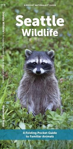 Seattle Wildlife