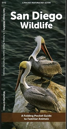 San Diego Wildlife
