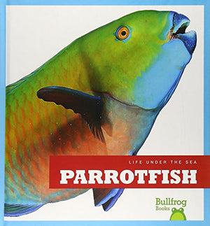 Parrotfish
