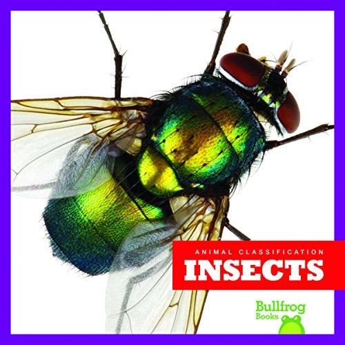 Insects
