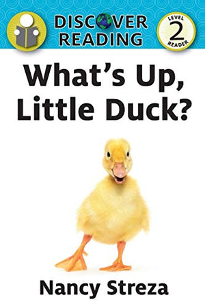 What's Up Little Duck