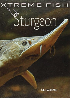Sturgeon