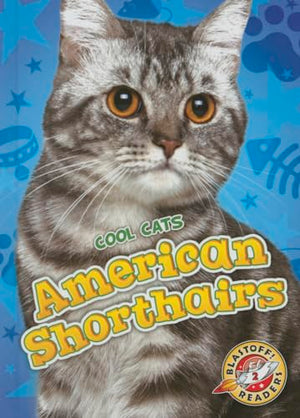 American Shorthairs