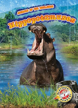 Hippopotamuses