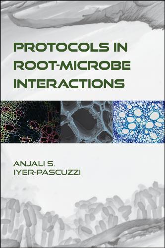 Protocols in Root-Microbe Interactions cover