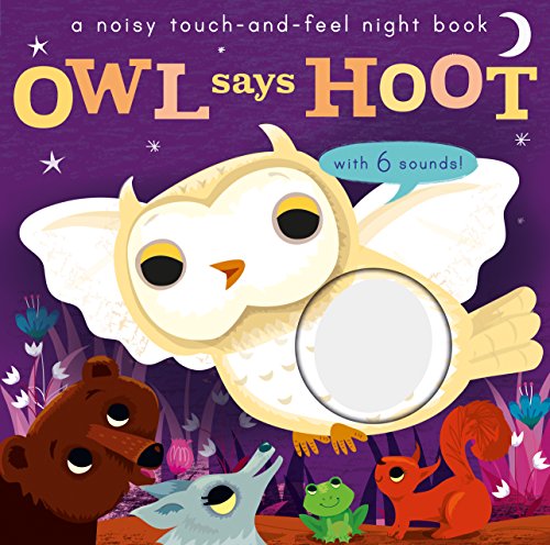 Noisy Touch and Feel: Owl Says Hoot