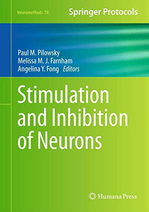 Stimulation and Inhibition of Neurons