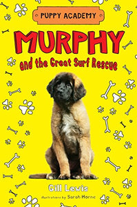 Murphy and the Great Surf Rescue 