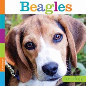 Beagles 