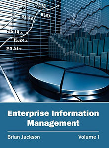 Enterprise Information Management: Volume I 