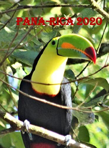 Pana-Rica