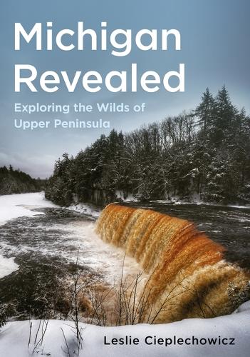 Michigan Revealed cover art