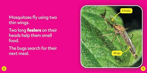 Mosquitoes