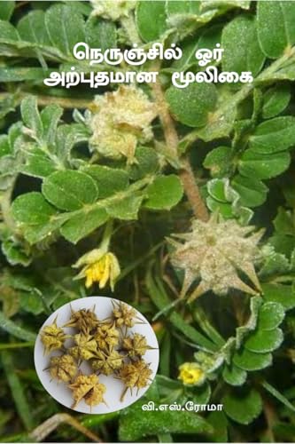 Nerunjil Oor Arputhamana Mooligai