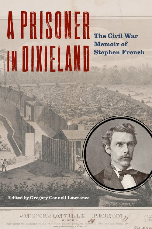 A Prisoner in Dixieland cover