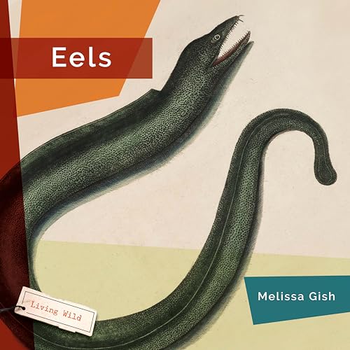 Eels