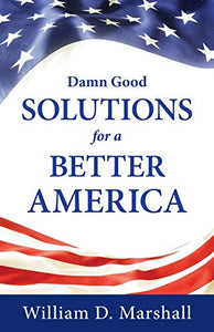 Damn Good Solutions for a Better America 