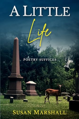 A Little Life
