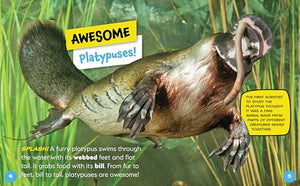 Platypus