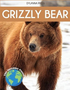 Grizzly Bear 