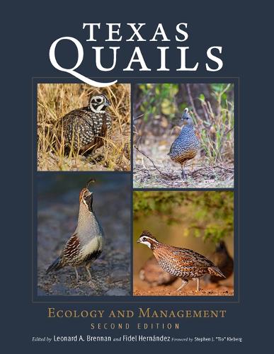 Texas Quails cover