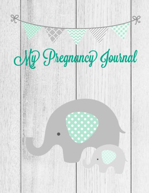My Pregnancy Journal: A Keepsake Book With Prompts You Can Record Your cover
