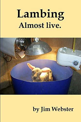 Lambing, almost live.