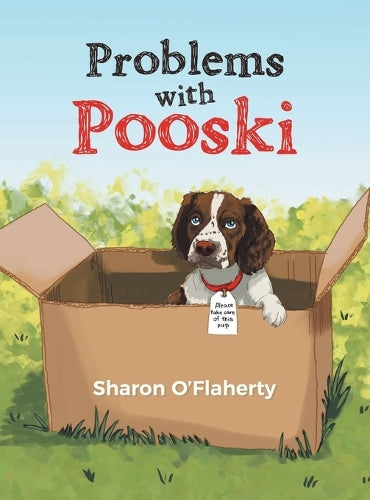 Problems with Pooski