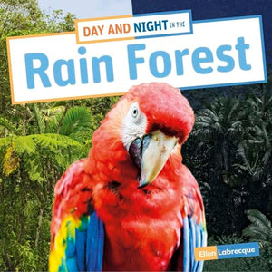 Day and Night in the Rain Forest 