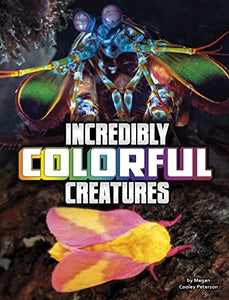 Incredibly Colorful Creatures 