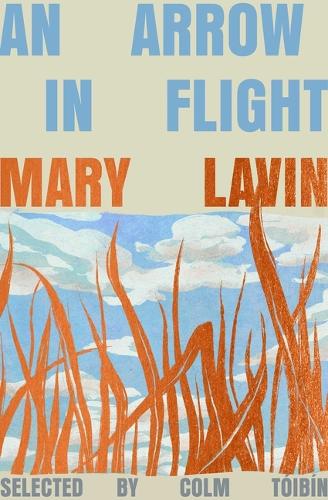 An Arrow in Flight cover