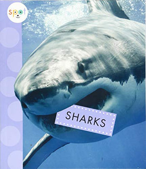 Sharks
