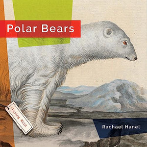 Polar Bears