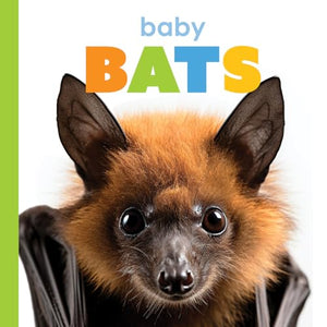 Baby Bats (Starting Out)