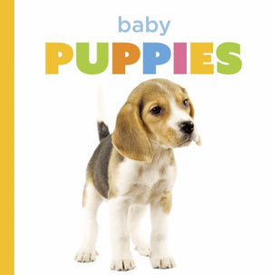 Baby Puppies