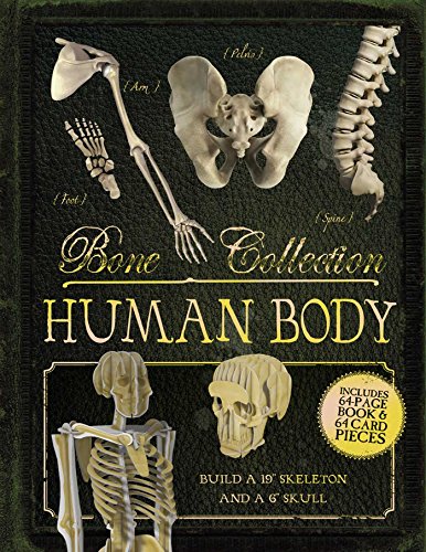 Bone Collection: Human Body