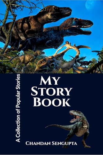 My Story Book cover